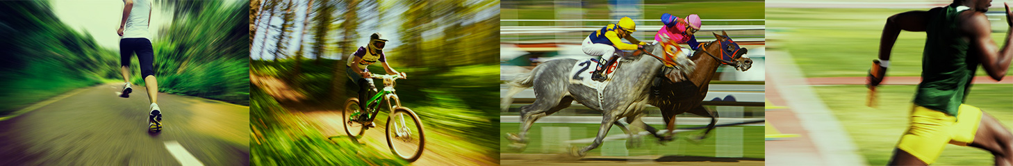 horse running relay cycling events tour de france