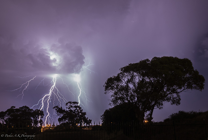 lightning night sky tree blue purple