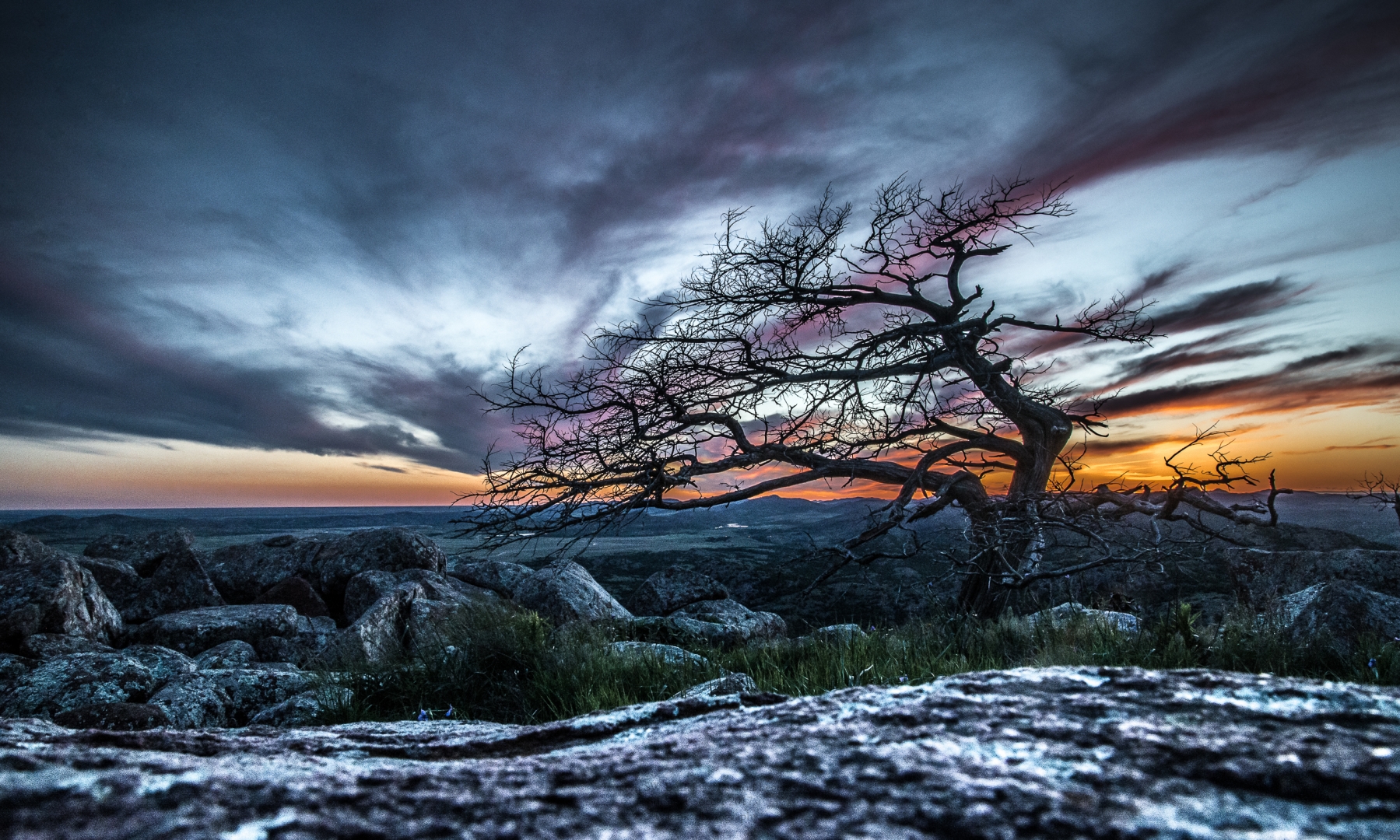 landscape tree cold winter sunset rocks texture