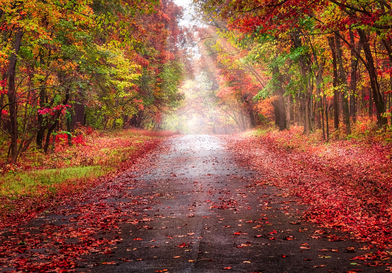 missouri fall autumn leaves road red yellow orange