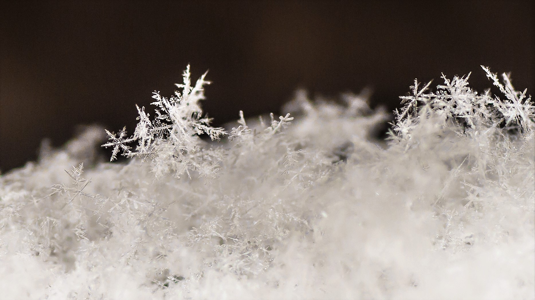 snow ice snowflake macro black white