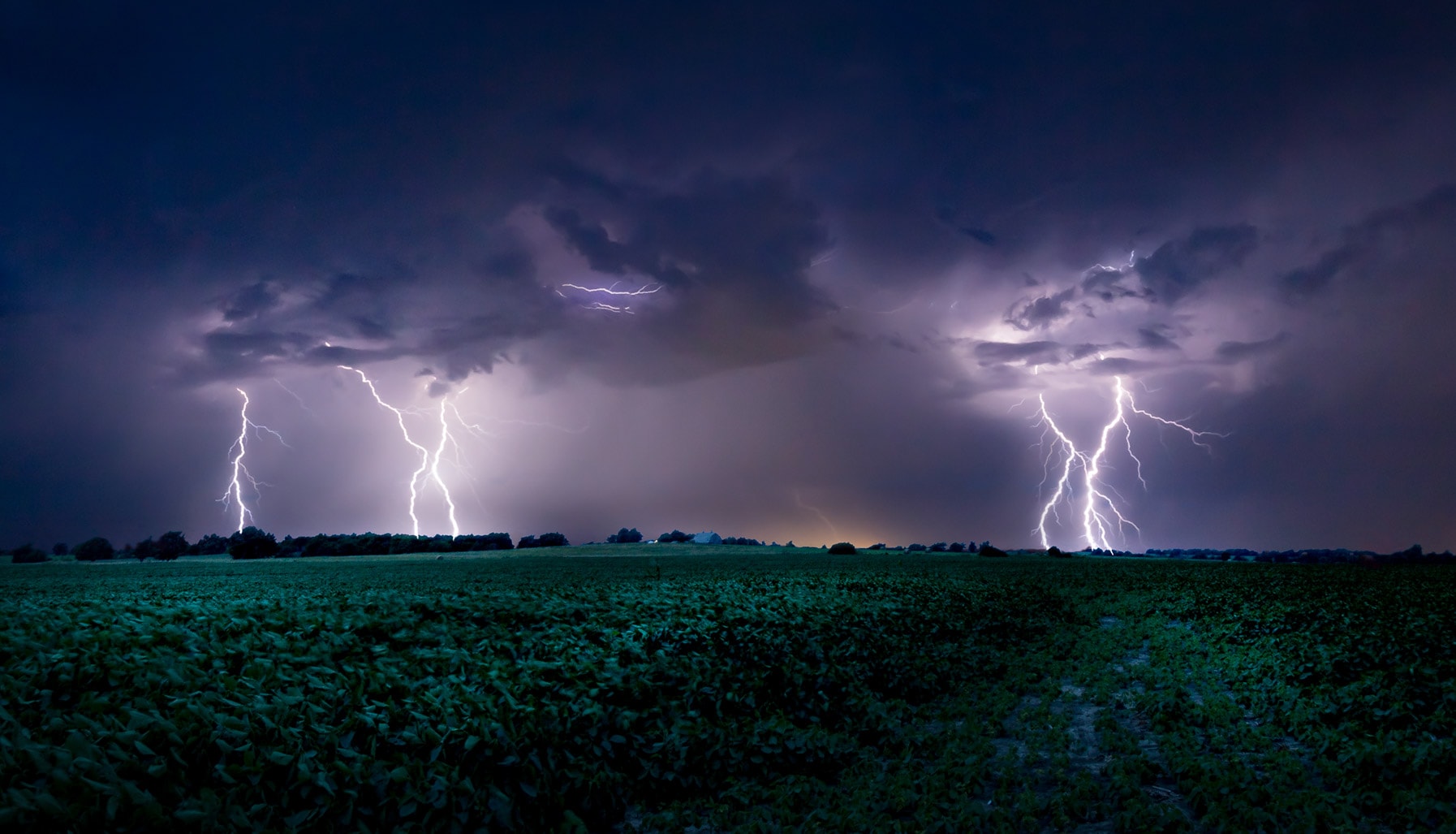 lightning bolt field storm