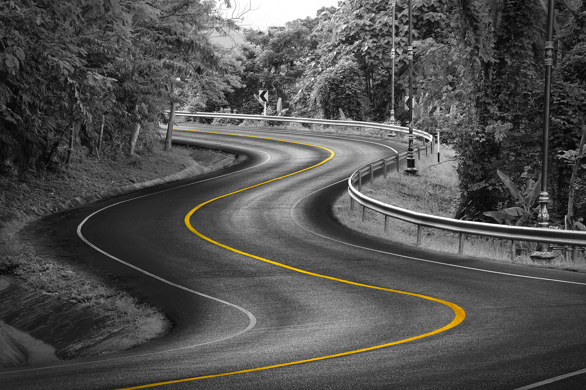 road yellow marking curves