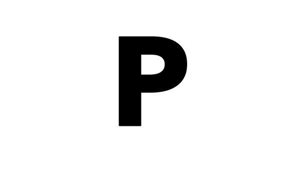 program mode P letter