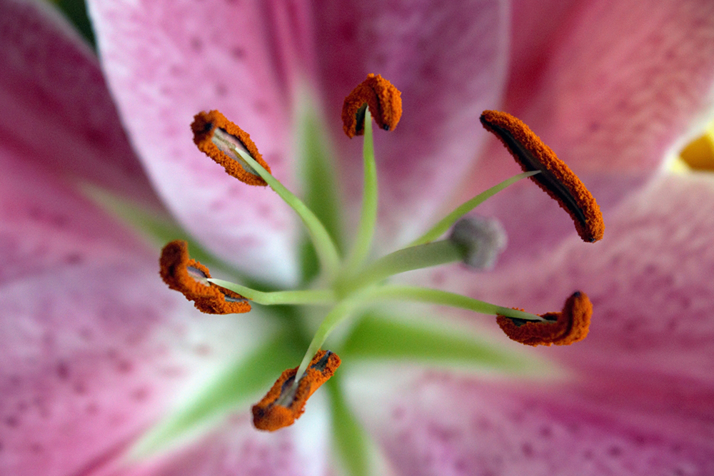 iphotography student image
