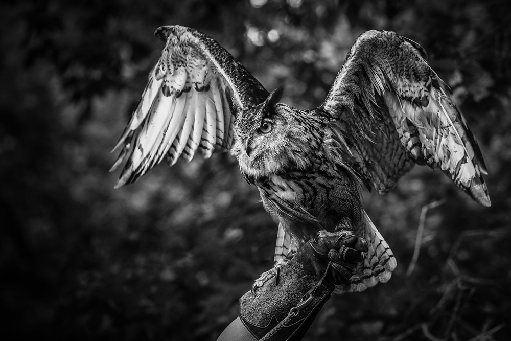 iphotography student image