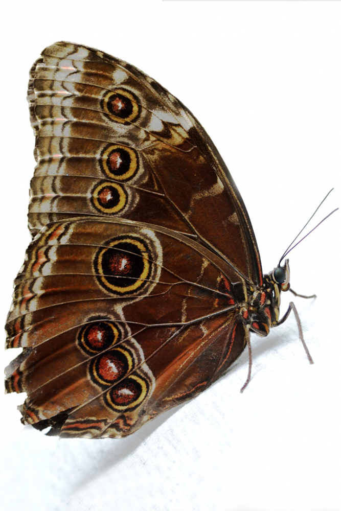 iphotography student image