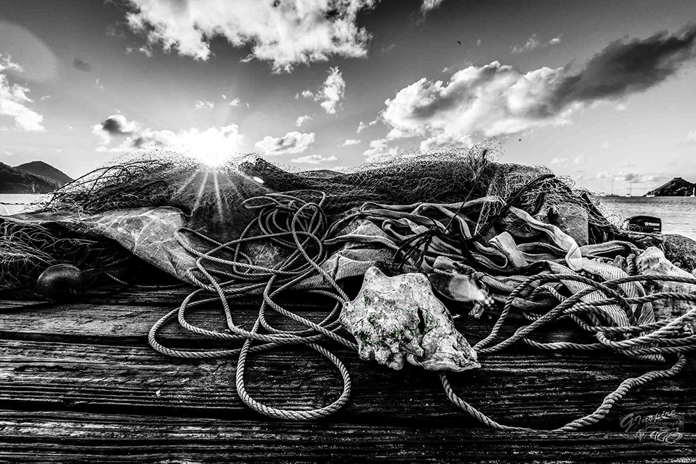 iphotography student image