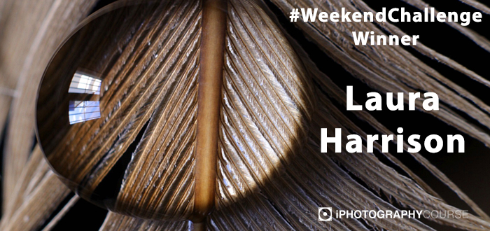 #potd #weekendchallenge iphotography guide win award social interaction photography training