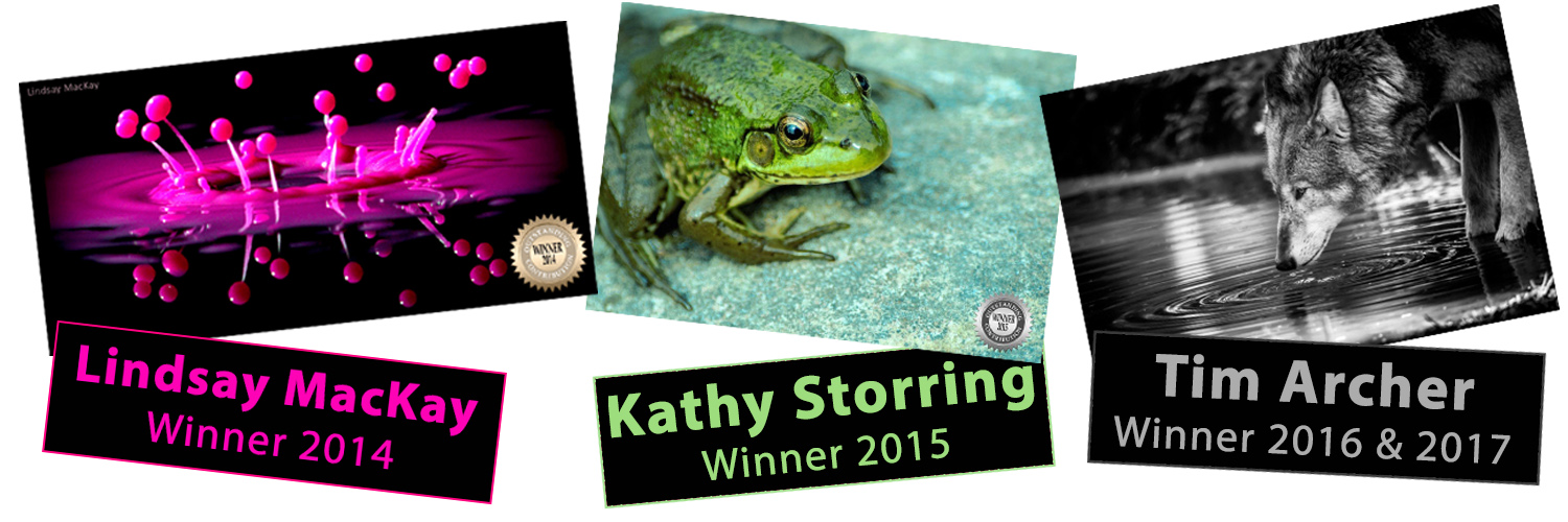 #potd #weekendchallenge iphotography guide win award social interaction photography training