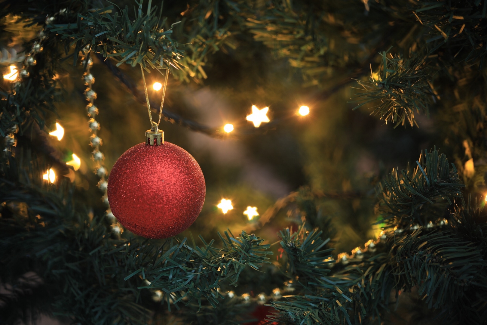 12 Days of Christmas Evergreen Karen Browne
