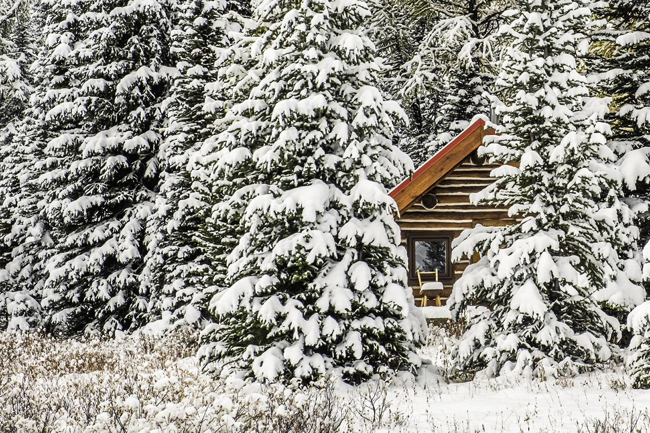 12 Days of Christmas Winterscapes Karen Vynckier-Walker