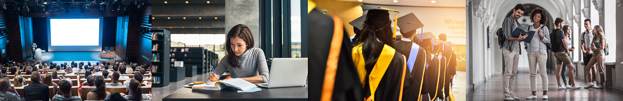 college degree graduation studying university