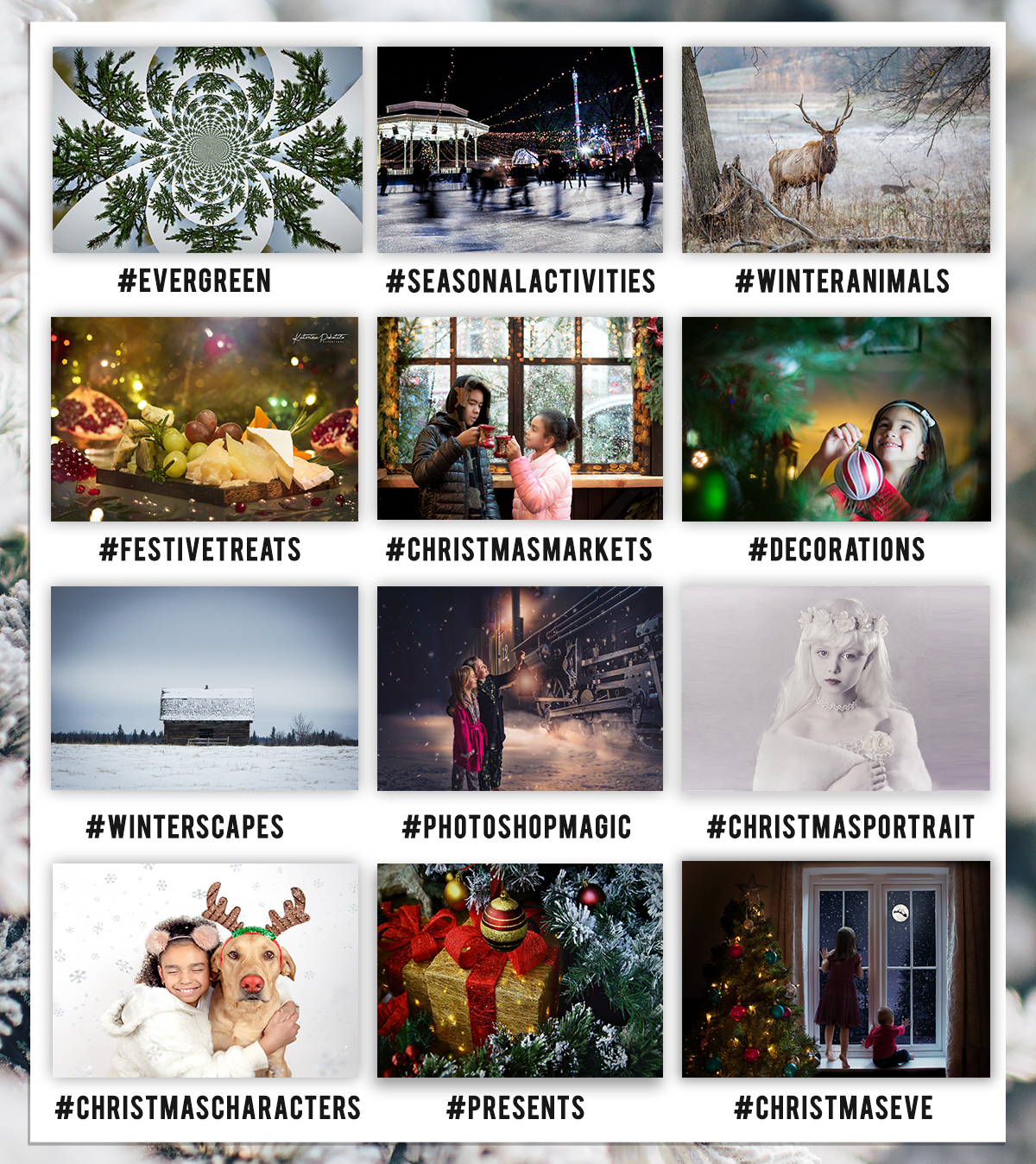 iphotography photography winter photographing winter christmas picture family lens learning photography photo picture snapshot 12 days of christmas competition awards trophy winner december january november season amateur beginner portrait tree fir snow snowball frost cold freeze camera hats coats fire mulled wine canon nikon student online learning e-learning sony fujifilm DSLR compact camera mirrorless worldwide international private learning tutor professional white sky holly thanksgiving turkey gathering